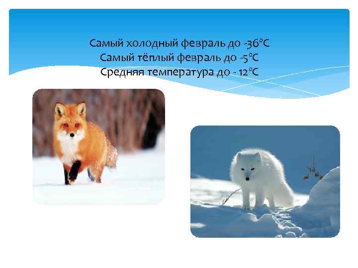 Самый холодный февраль до -36ºС Самый тёплый февраль до -5ºС Средняя температура до -