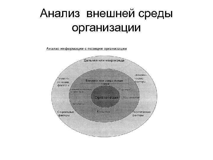 Анализ внешней среды организации 