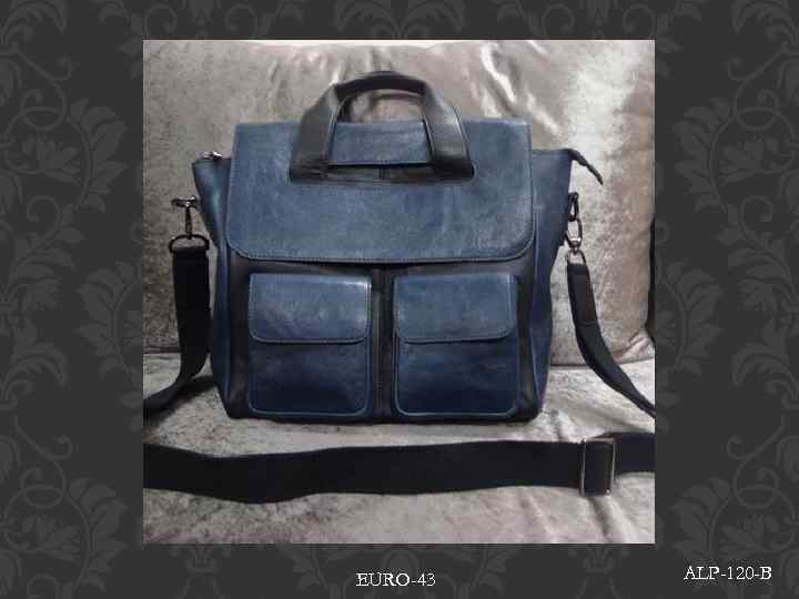 EURO-43 ALP-120 -B 