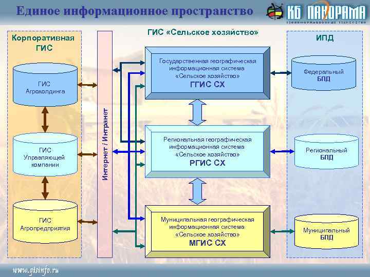 Единое информационное пространство ГИС «Сельское хозяйство» Корпоративная ГИС Государственная географическая информационная система «Сельское хозяйство»