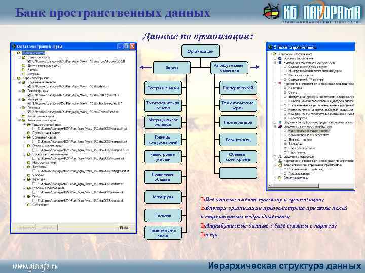 Банк пространственных данных Данные по организации: Организация Карты Атрибутивные сведения Растры и снимки Паспорта