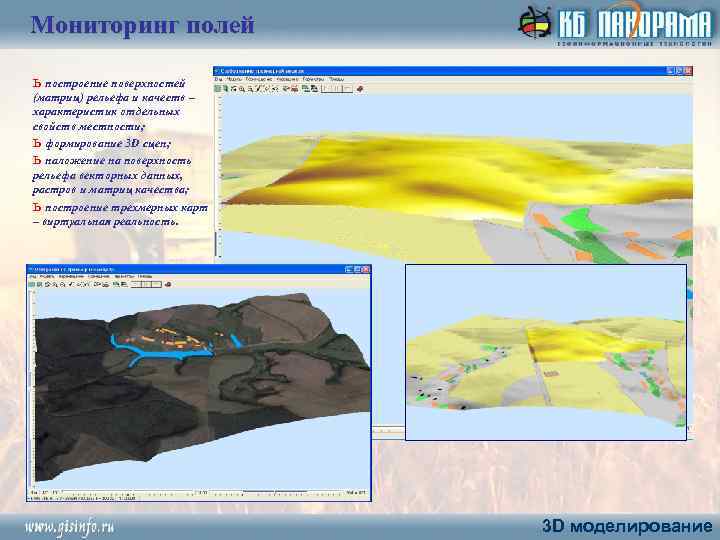 Мониторинг полей ь построение поверхностей (матриц) рельефа и качеств – характеристик отдельных свойств местности;