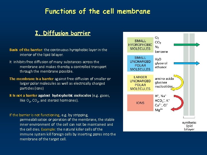 Functions of the cell membrane I. Diffusion barrier Basis of the barrier: the continuous