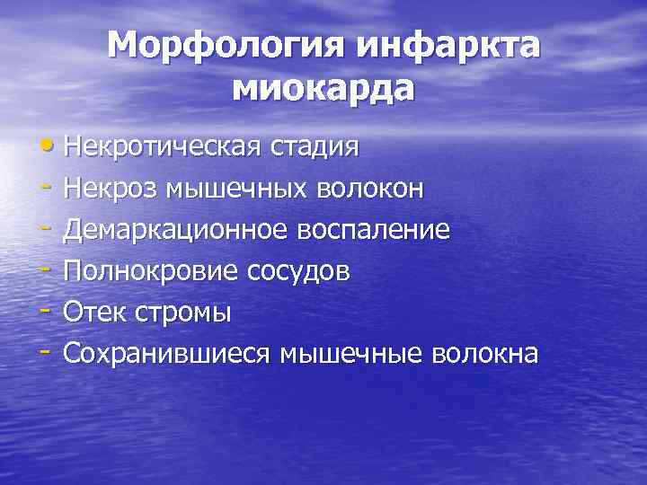 Морфология инфаркта миокарда • Некротическая стадия - Некроз мышечных волокон - Демаркационное воспаление -