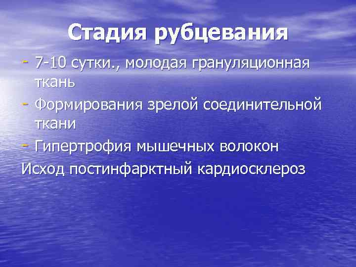 Стадия рубцевания - 7 -10 сутки. , молодая грануляционная ткань - Формирования зрелой соединительной