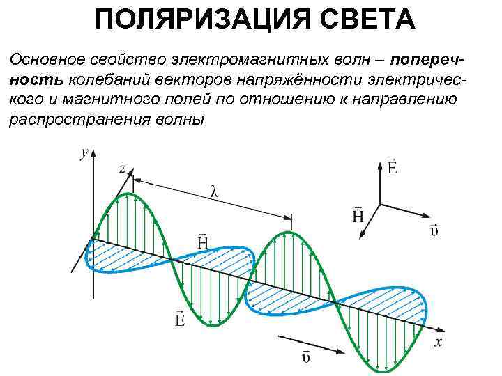 Поляризация волн. Поперечность ЭМВ. Поляризация света следствие поперечности световых волн. Поляризация света. Поперечность волн.. Поляризация электромагнитных волн.