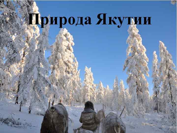 Природа Якутии 