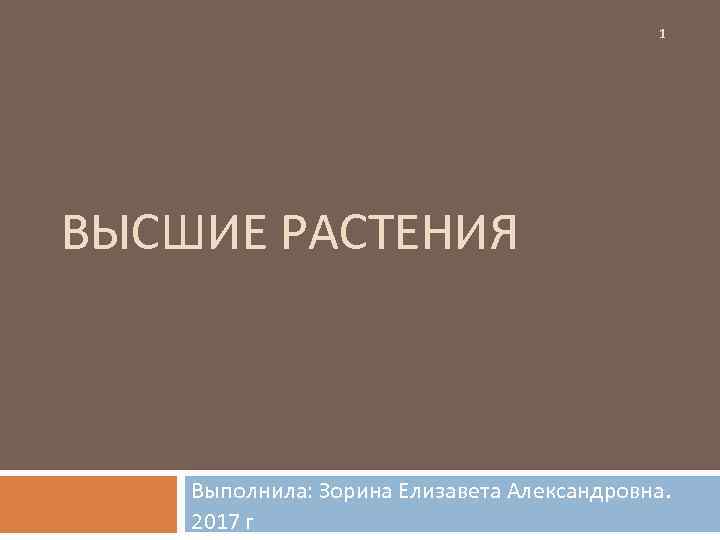 1 ВЫСШИЕ РАСТЕНИЯ Выполнила: Зорина Елизавета Александровна. 2017 г 