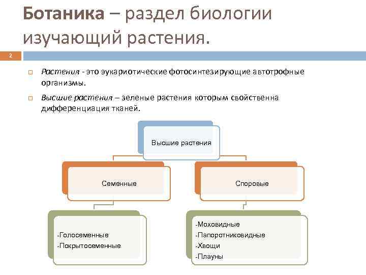 Ботаника – раздел биологии изучающий растения. 2 Растения это эукариотические фотосинтезирующие автотрофные организмы. Высшие