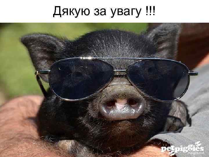 Дякую за увагу !!! 