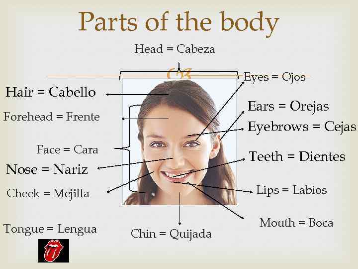 Parts of the body Head = Cabeza Hair = Cabello Eyes = Ojos Ears