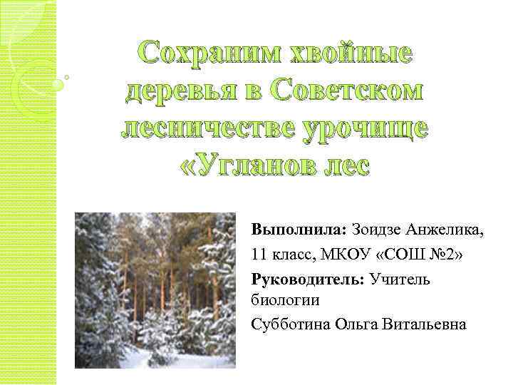 Сохраним хвойные деревья в Советском лесничестве урочище «Угланов лес Выполнила: Зоидзе Анжелика, 11 класс,