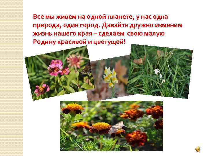 Все мы живем на одной планете, у нас одна природа, один город. Давайте дружно