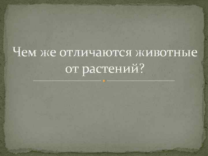 Чем же отличаются животные от растений? 