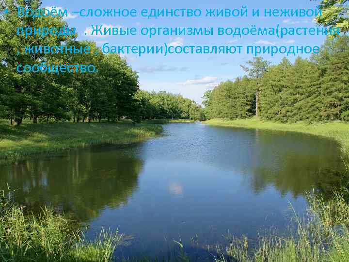  • Водоём –сложное единство живой и неживой природы . Живые организмы водоёма(растения ,