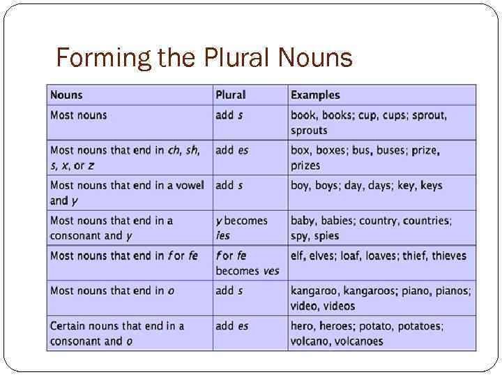 Forming the Plural Nouns 