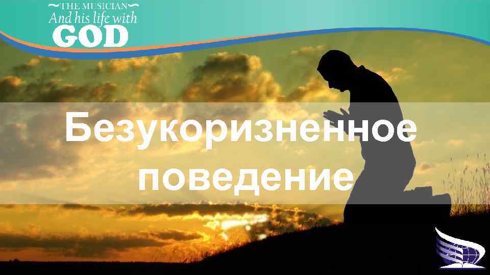 Безукоризненное поведение 