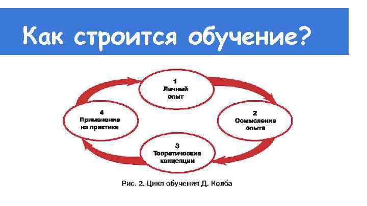 Обучение строится. Менеджер в образовании как строится обучение. Пятиступенчатый цикла тренинга. Мотицикл учёба. Как строятся феменитвы.