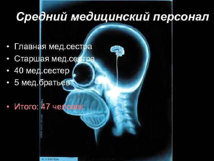 Средний медицинский персонал • • Главная мед. сестра Старшая мед. сестра 40 мед. сестер