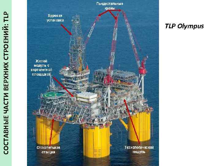 СОСТАВНЫЕ ЧАСТИ ВЕРХНИХ СТРОЕНИЙ: TLP Olympus 