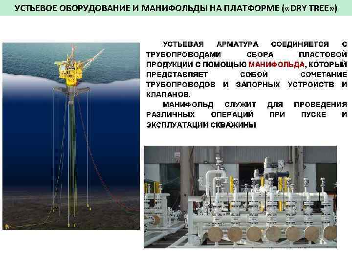 УСТЬЕВОЕ ОБОРУДОВАНИЕ И МАНИФОЛЬДЫ НА ПЛАТФОРМЕ ( «DRY TREE» ) 