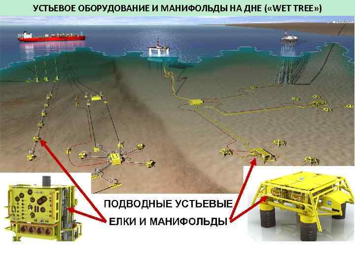 УСТЬЕВОЕ ОБОРУДОВАНИЕ И МАНИФОЛЬДЫ НА ДНЕ ( «WET TREE» ) 