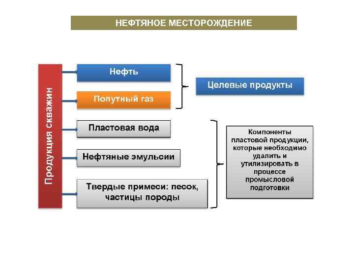 НЕФТЯНОЕ МЕСТОРОЖДЕНИЕ 