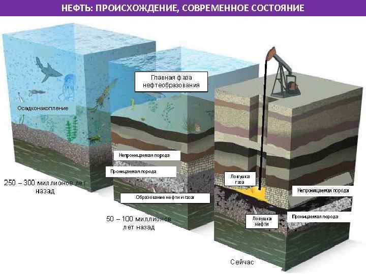 Схема природный газ ценное сырье химической промышленности