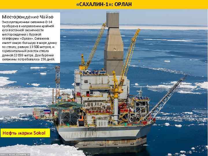  «САХАЛИН 1» : ОРЛАН Месторождение Чайво Эксплуатационная скважина О 14 пробурена в направлении