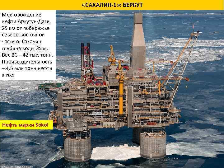  «САХАЛИН 1» : БЕРКУТ Месторождение нефти Аркутун Даги, 25 км от побережья северо