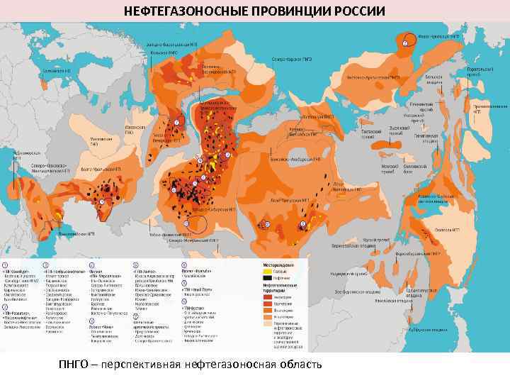 НЕФТЕГАЗОНОСНЫЕ ПРОВИНЦИИ РОССИИ ПНГО – перспективная нефтегазоносная область 