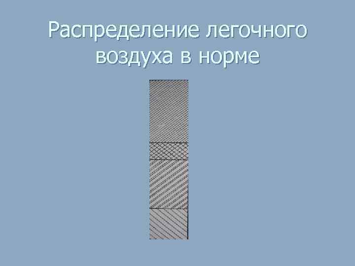Распределение легочного воздуха в норме 