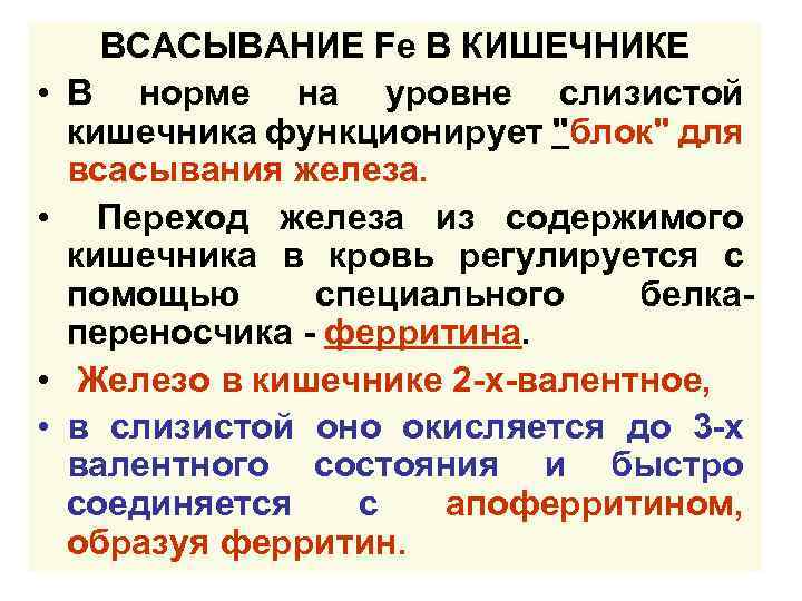  • • ВСАСЫВАНИЕ Fe В КИШЕЧНИКЕ В норме на уровне слизистой кишечника функционирует