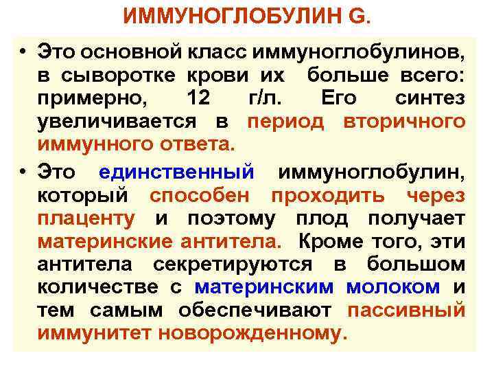 ИММУНОГЛОБУЛИН G. • Это основной класс иммуноглобулинов, в сыворотке крови их больше всего: примерно,