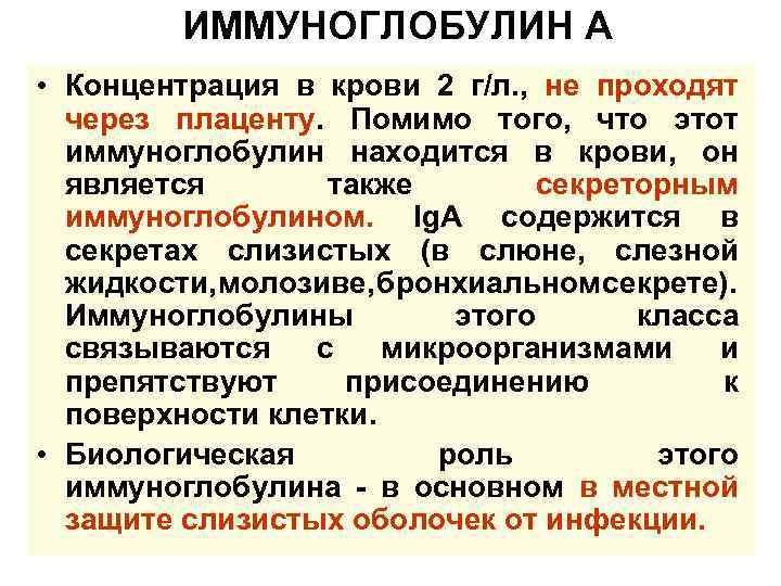 ИММУНОГЛОБУЛИН А • Концентрация в крови 2 г/л. , не проходят через плаценту. Помимо