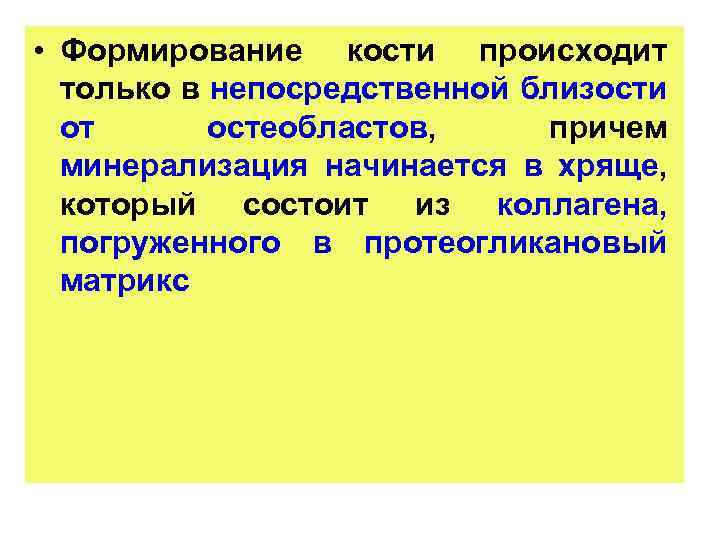  • Формирование кости происходит только в непосредственной близости от остеобластов, причем минерализация начинается