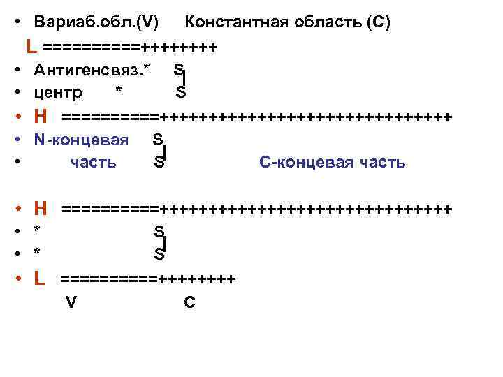  • Вариаб. обл. (V) Константная область (C) L =====++++ • Антигенсвяз. * S