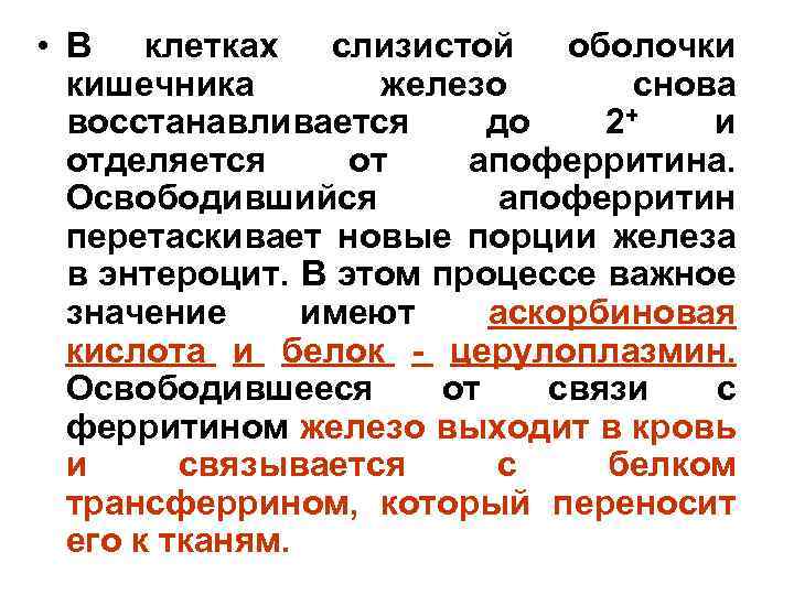  • В клетках слизистой оболочки кишечника железо снова восстанавливается до 2+ и отделяется