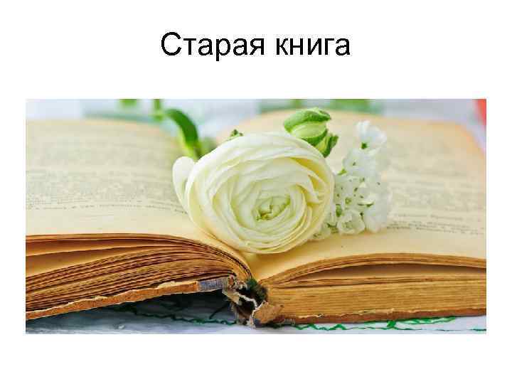 Старая книга 