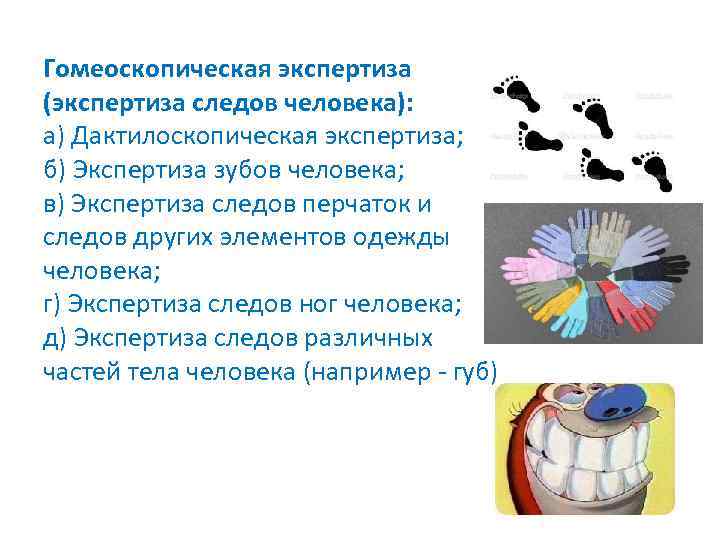 Гомеоскопическая экспертиза (экспертиза следов человека): а) Дактилоскопическая экспертиза; б) Экспертиза зубов человека; в) Экспертиза