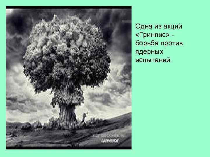 Одна из акций «Гринпис» борьба против ядерных испытаний. 