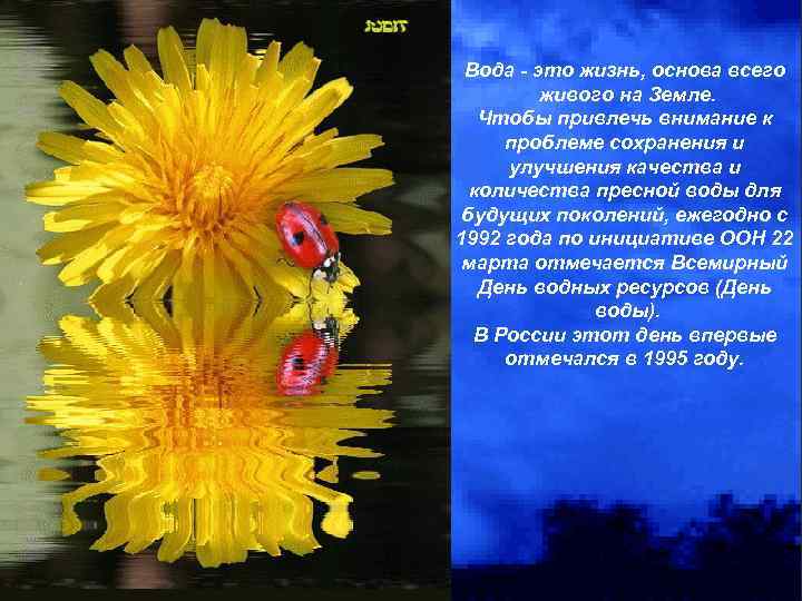 Вода - это жизнь, основа всего живого на Земле. Чтобы привлечь внимание к проблеме