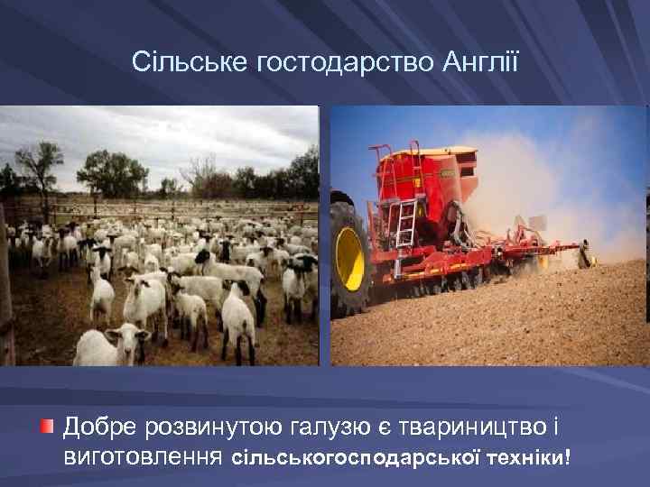 Сільське гостодарство Англії Добре розвинутою галузю є твариництво і виготовлення сільськогосподарської техніки! 