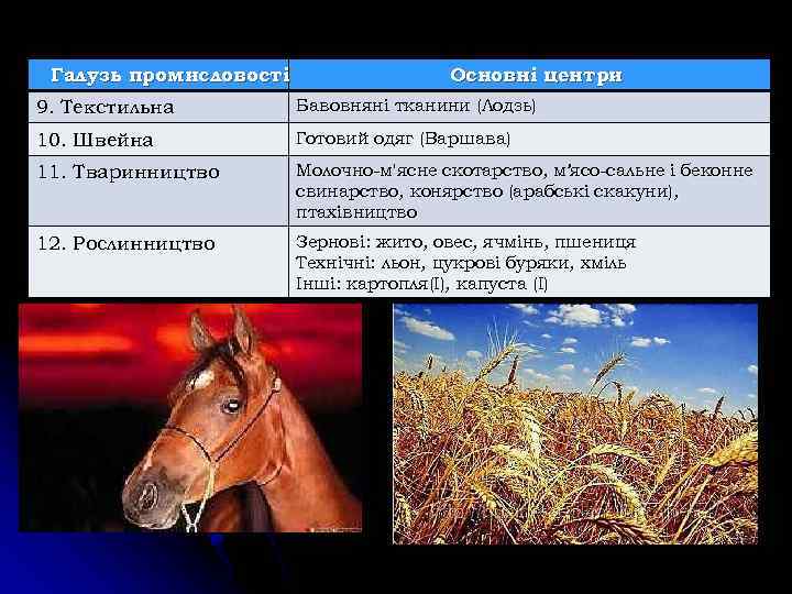 Галузь промисловості Основні центри 9. Текстильна Бавовняні тканини (Лодзь) 10. Швейна Готовий одяг (Варшава)