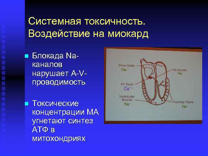 Системная токсичность. Воздействие на миокард n Блокада Naканалов нарушает A-Vпроводимость n Токсические концентрации МА