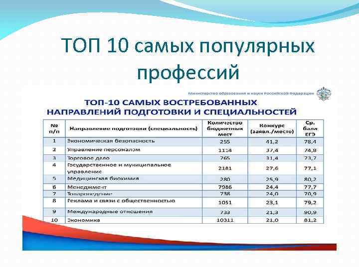 ТОП 10 самых популярных профессий 