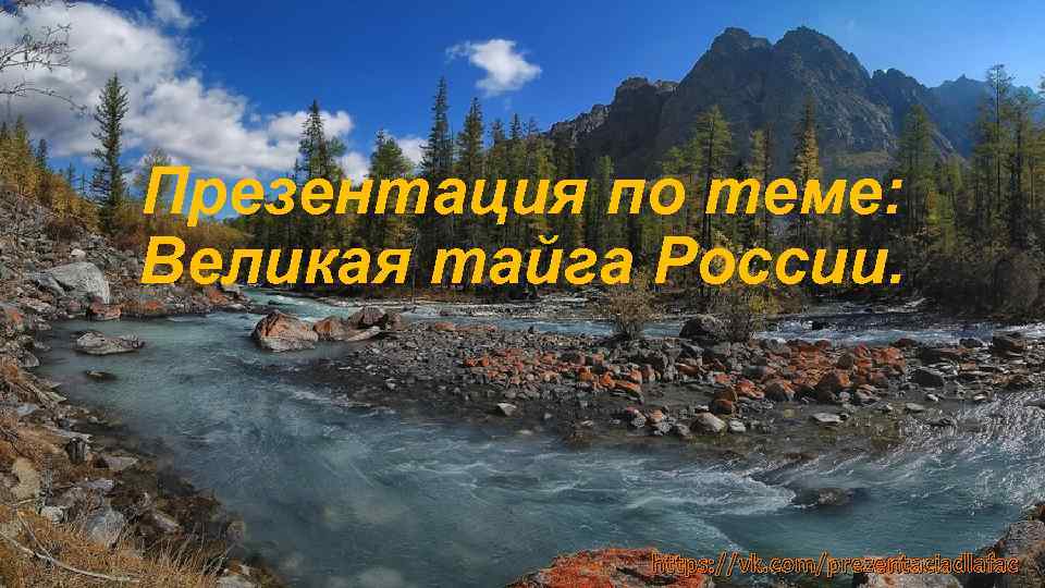 Презентация по теме: Великая тайга России. https: //vk. com/prezentaciadlafac 