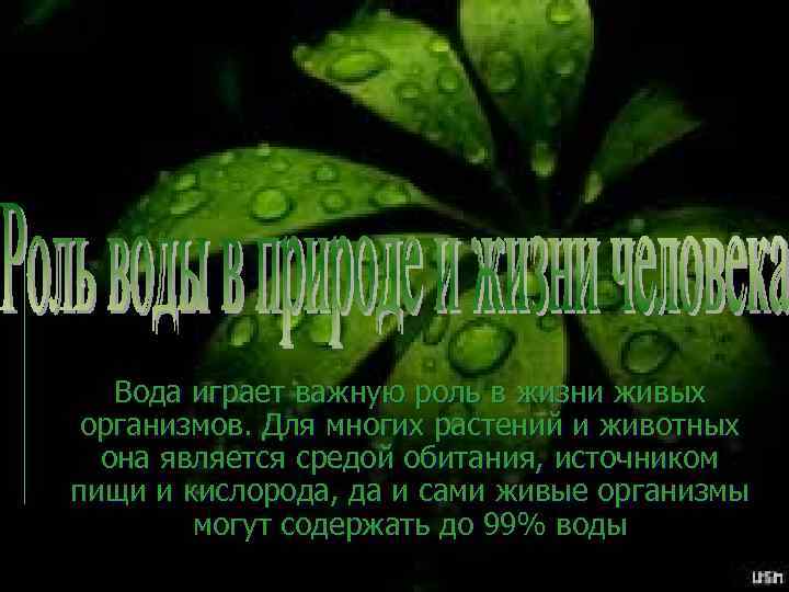 Вода играет важную роль в жизни живых организмов. Для многих растений и животных она