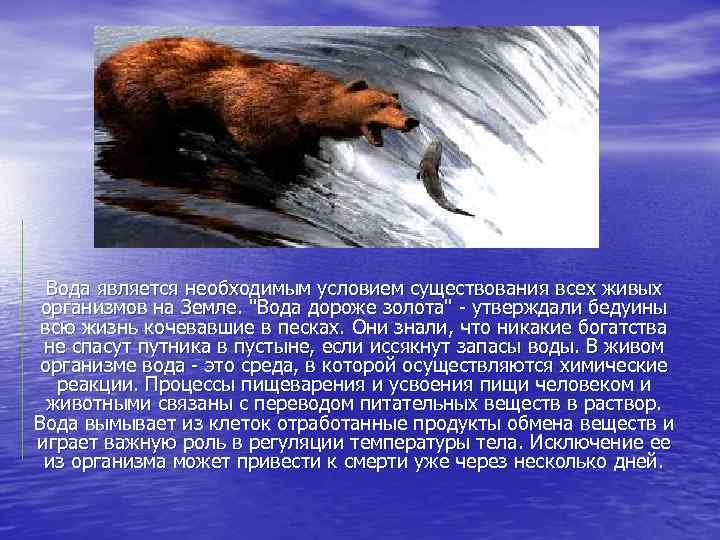 Вода является необходимым условием существования всех живых организмов на Земле. 