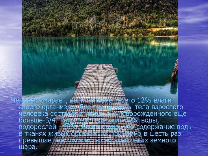 Человек умирает, если потеряет всего 12% влаги своего организма. Две трети массы тела взрослого
